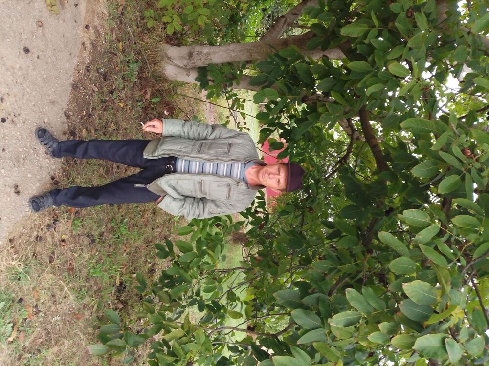  ,   , 53 ,   ,   