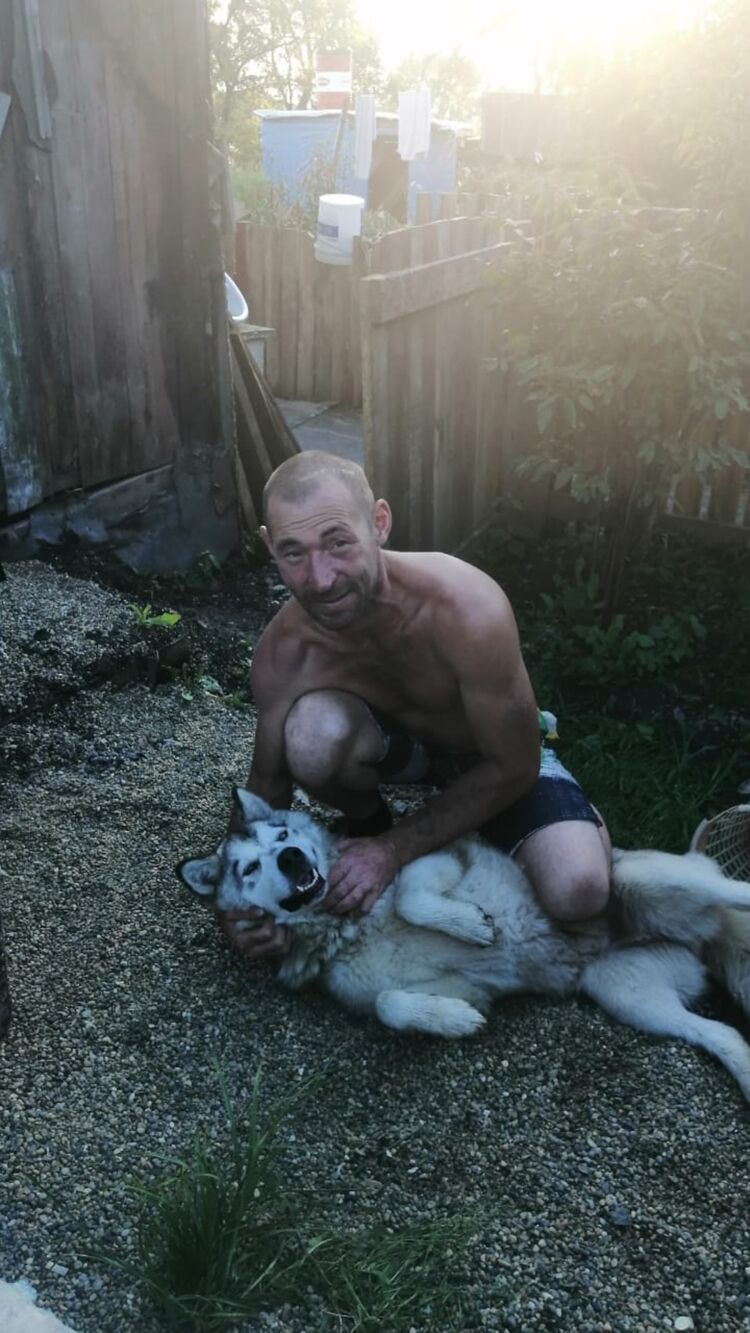  -,   , 43 ,   ,   , c 