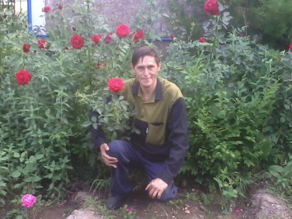  -,   , 53 ,   ,   , c 