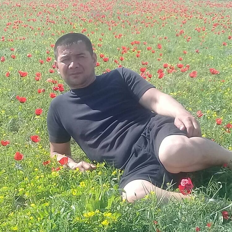 ���������� �������, ���� ������� ���, 41 ���, ������������ ��� ������, ����� � ���������, c�������� ���������, ���������