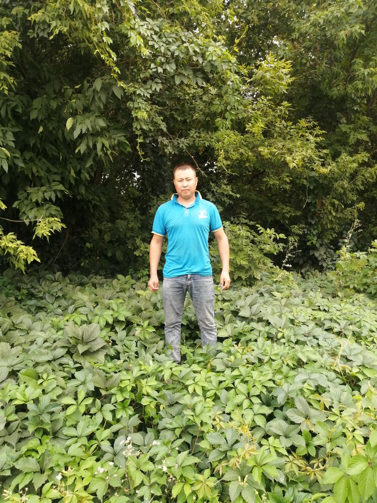  29213598  Elbek, 30 ,    
