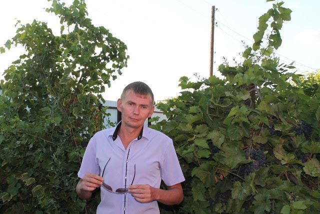 ���� 25209818 ������� ���������, 40 ���, ���� ���������� � ����������