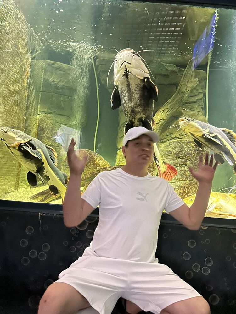 ���� 49410998 ������� �����, 43 ����, ���� ���������� � ������