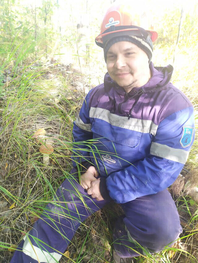 ���������� ������ �����, ���� ������� �����, 38 ���, ������������ ��� ������, ����� � ���������, c�������� ���������