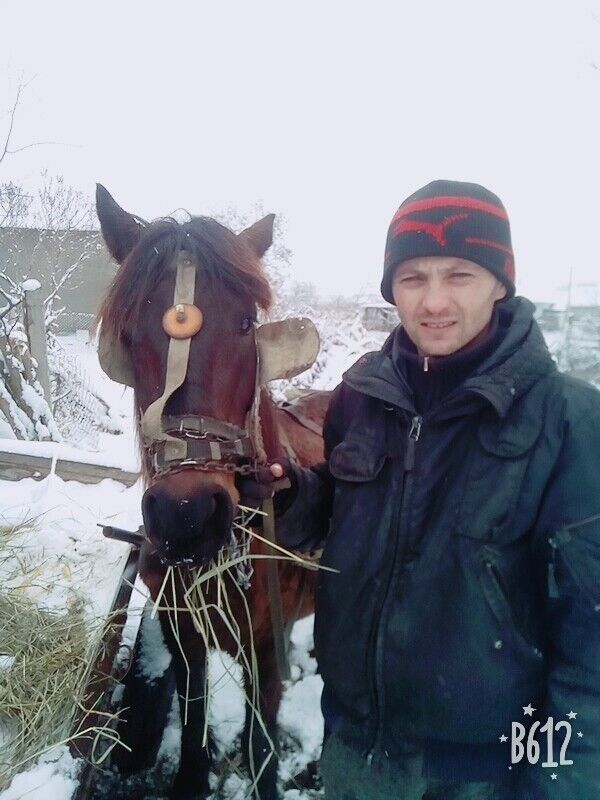 ���� 11720528 ������� C���, 48 ���, ���� ���������� � ��������