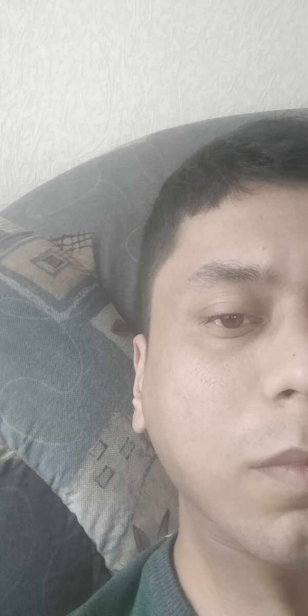  15760628  , 31 ,    