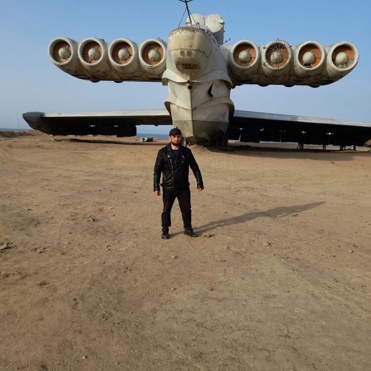  43114308  , 38 ,    