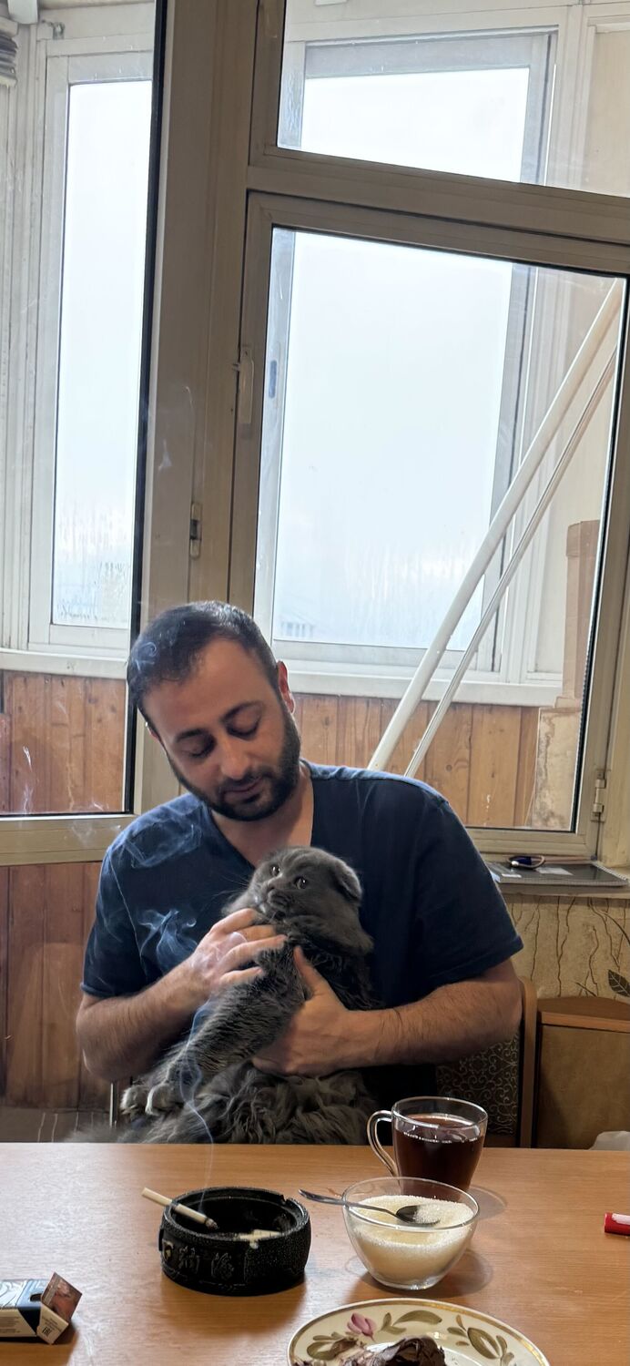 ���������� ������, ���� ������� ���, 35 ���, ������������ ��� ������, ����� � ���������