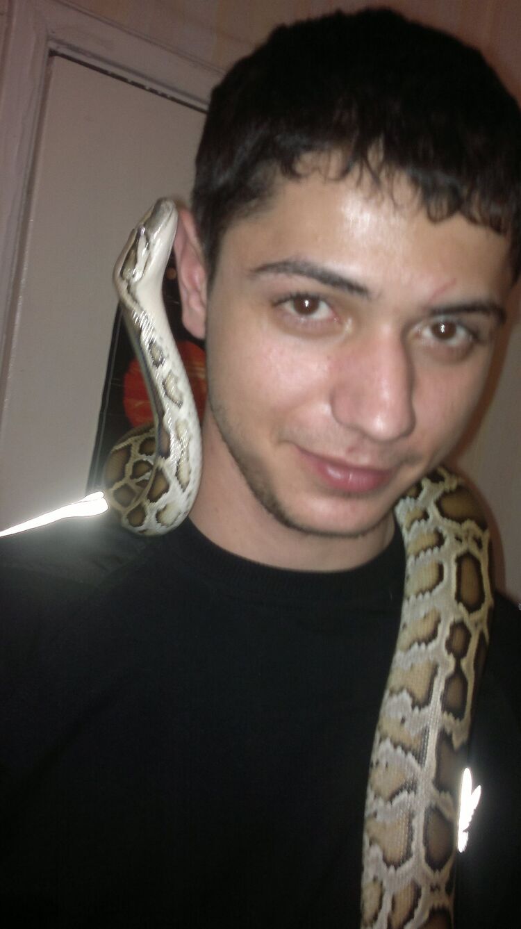 ���������� ������������, ���� ������� ������, 36 ���, ������������ ��� ������, ����� � ���������