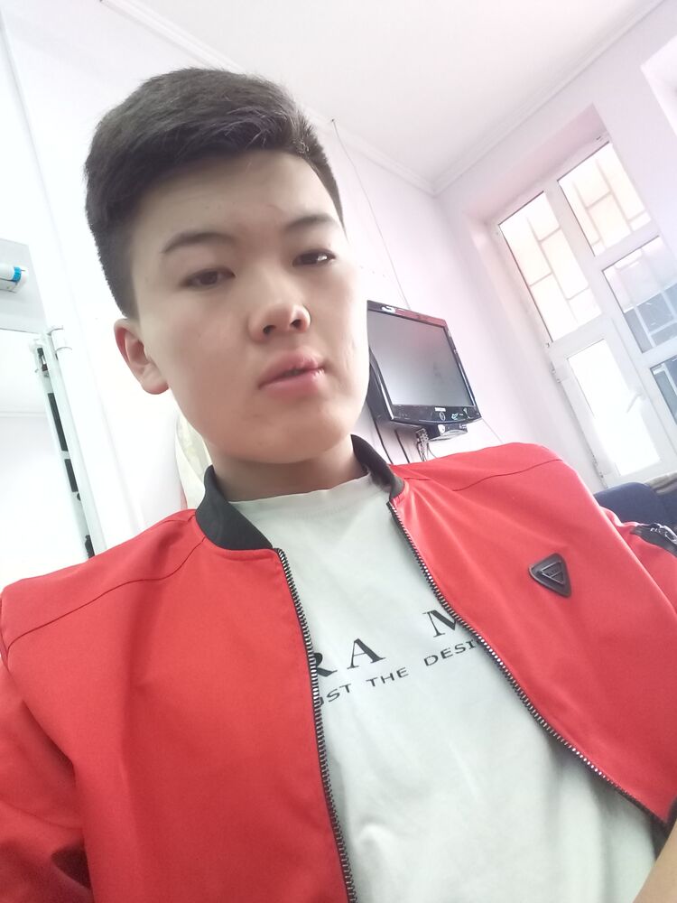  24080158  , 28 ,    