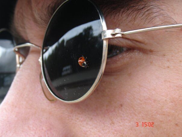 ���������� ���������, ���� ������� ������, 40 ���, ������������ ��� ������, ����� � ���������