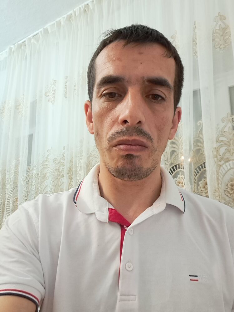  50589708  , 33 ,    