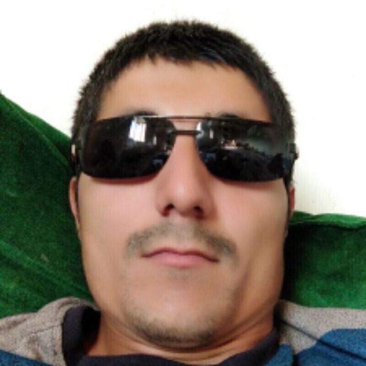  36697008  , 31 ,    