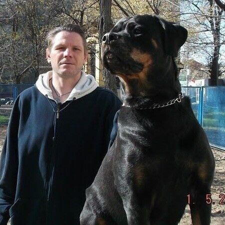 ���� 40387748 ������� �������, 51 ���, ���� ���������� � ������