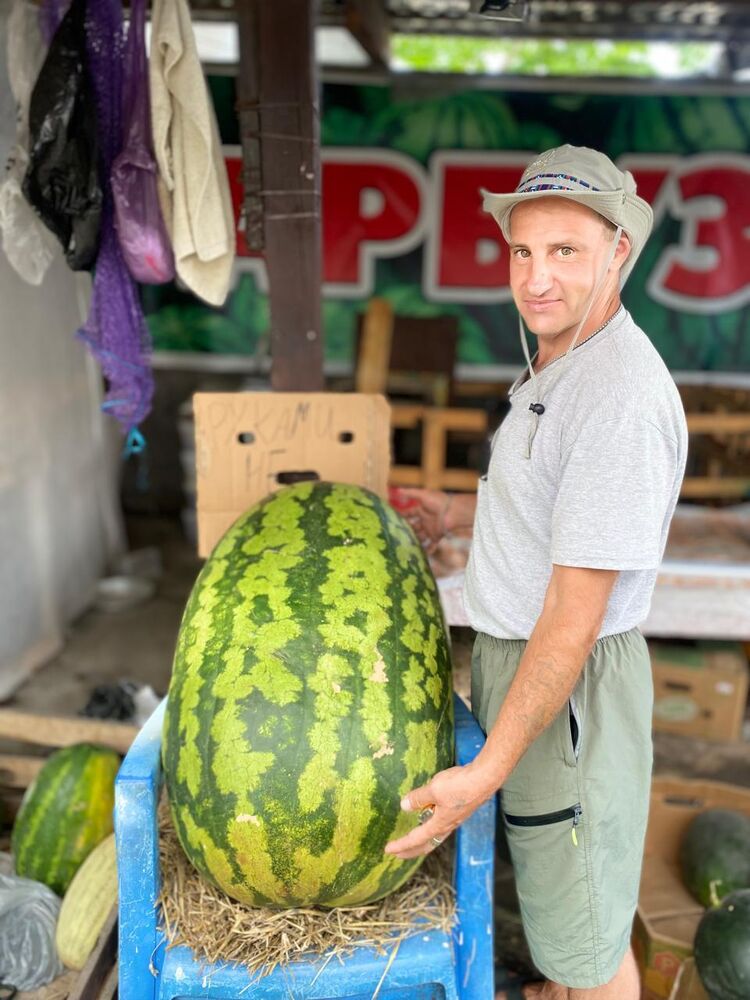 ���������� ������, ���� ������� �������, 48 ���, ������������ ��� c�������� ���������