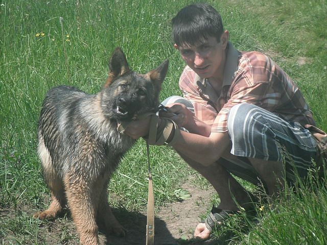 ���� 23964238 ������� �������, 36 ���, ���� ���������� � �������