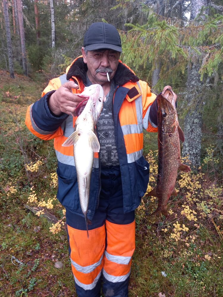 ���� 53711038 ������� ������, 100 ���, ���� ���������� � �����-����������