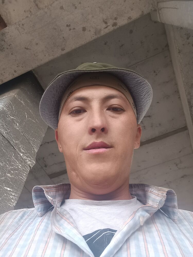 ���� 29366148 ������� Baian, 38 ���, ���� ���������� � �������