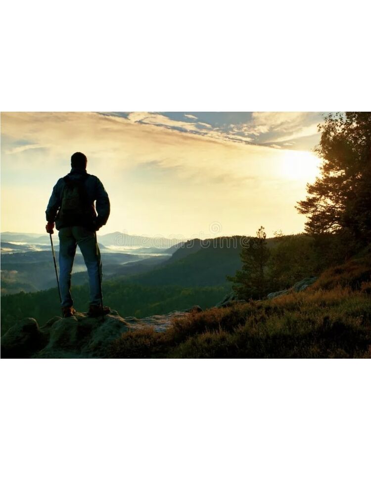 ���� 30929818 ������� ����, 34 ����, ���� ���������� � ������������