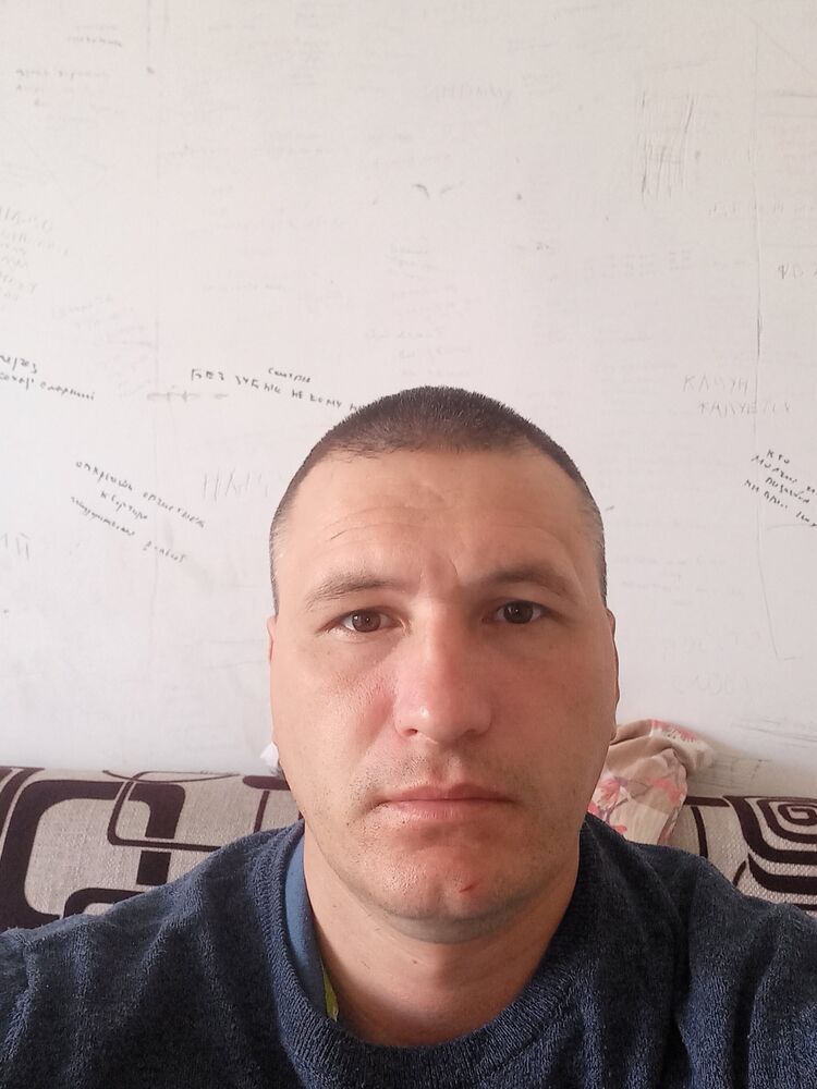 ���� 43428148 ������� �����, 40 ���, ���� ���������� � ������