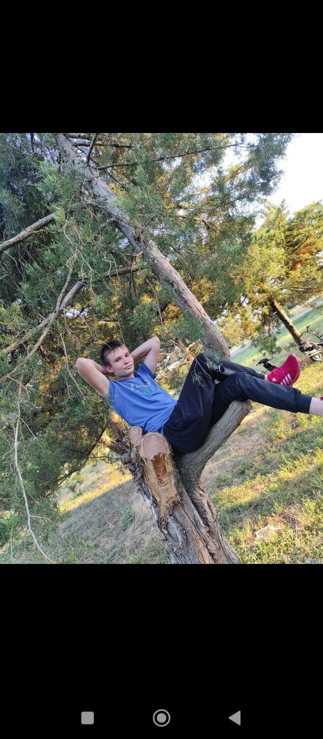  53985938  , 19 ,    --