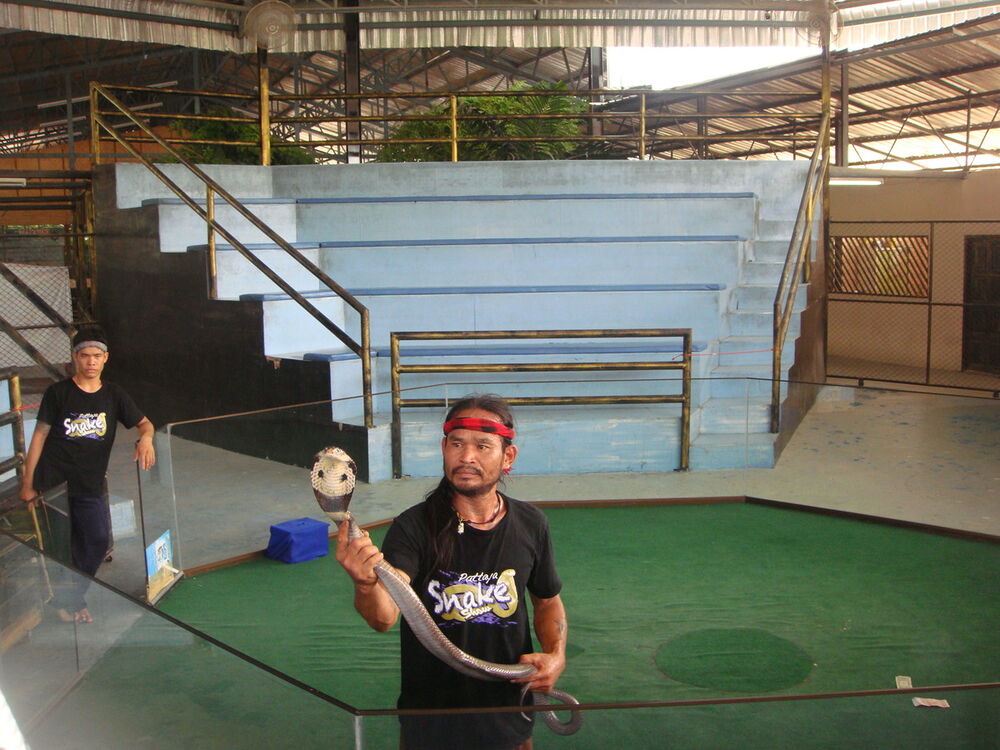 ���� 5472358 ������� Igor, 55 ���, ���� ���������� � �����