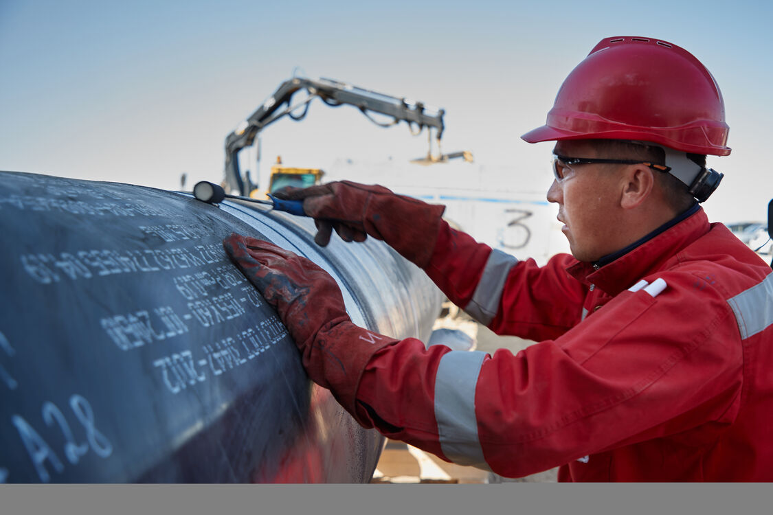 ���� 23516428 ������� Erlan, 53 ����, ���� ���������� � ������