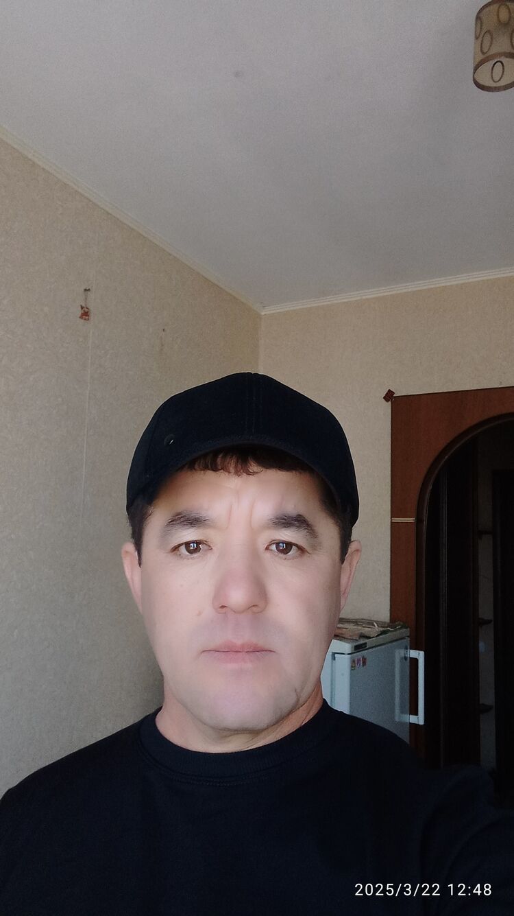  51291438  , 37 ,     