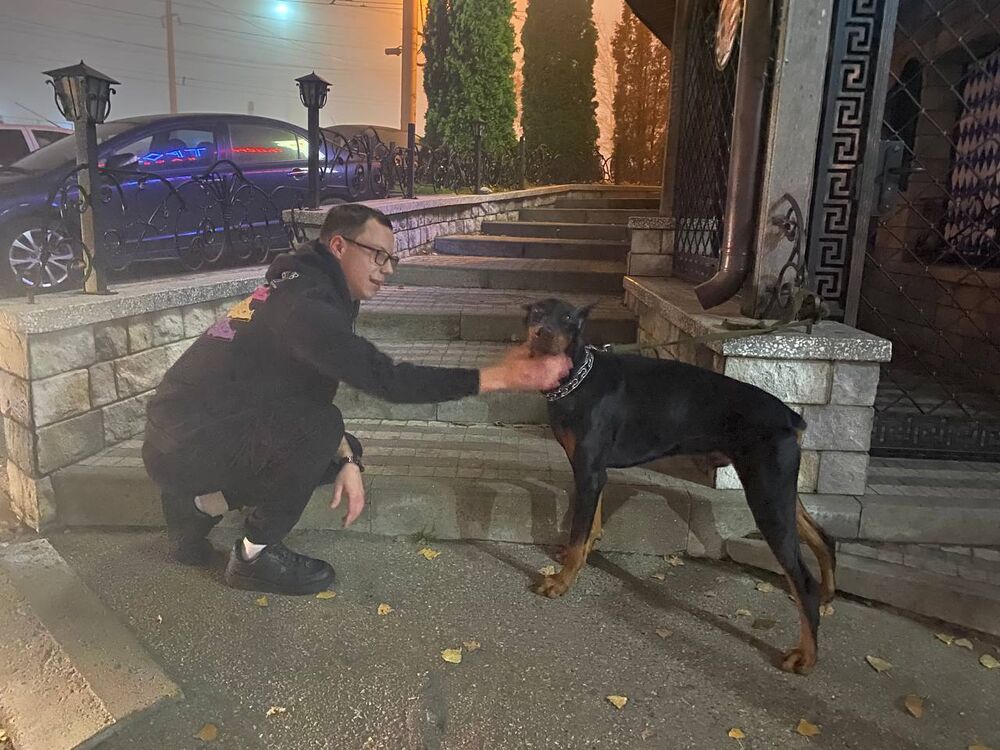 ���� 27067138 ������� ������, 28 ���, ���� ���������� � ����������