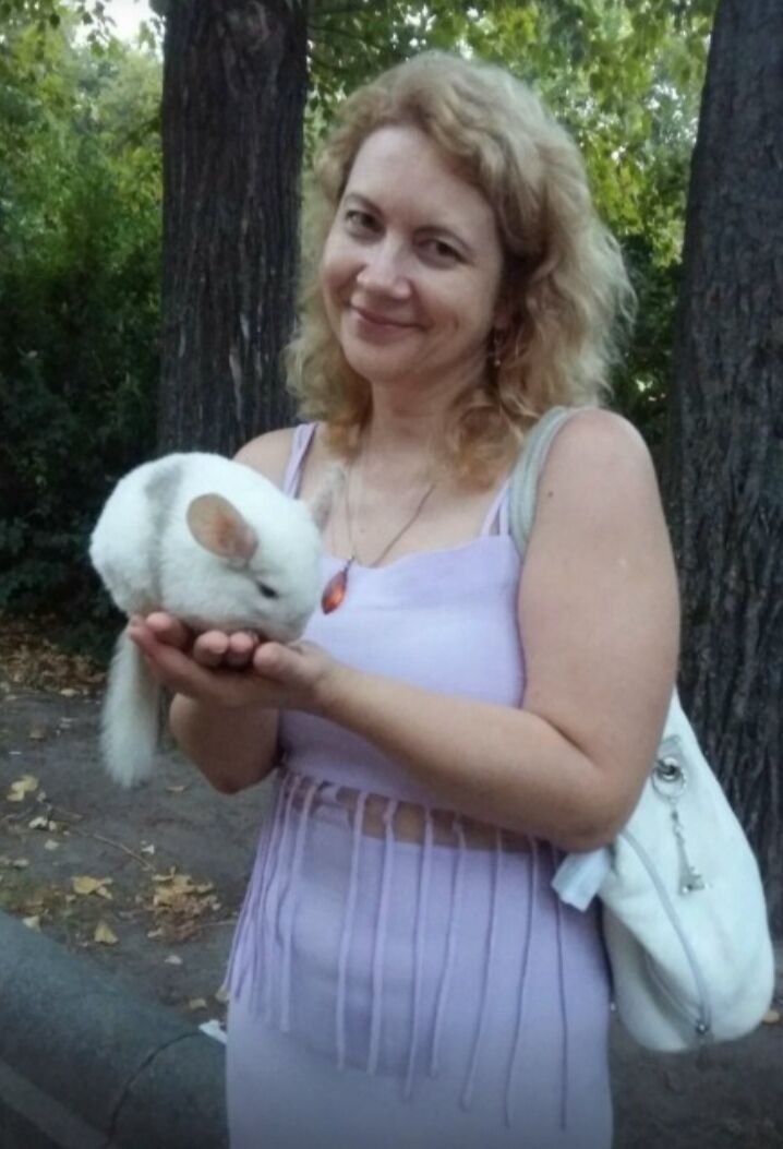 ���������� �������, ���� ������� �����, 50 ���, ������������ ��� ������, ����� � ���������, c�������� ���������