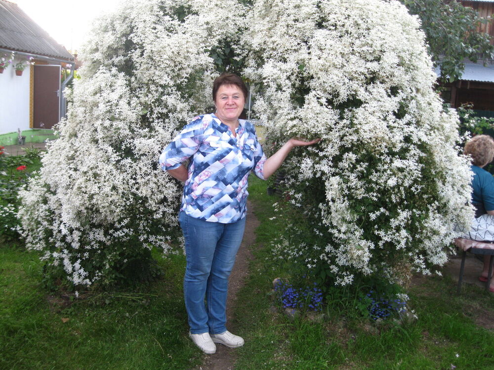  ,   , 59 ,     , c 