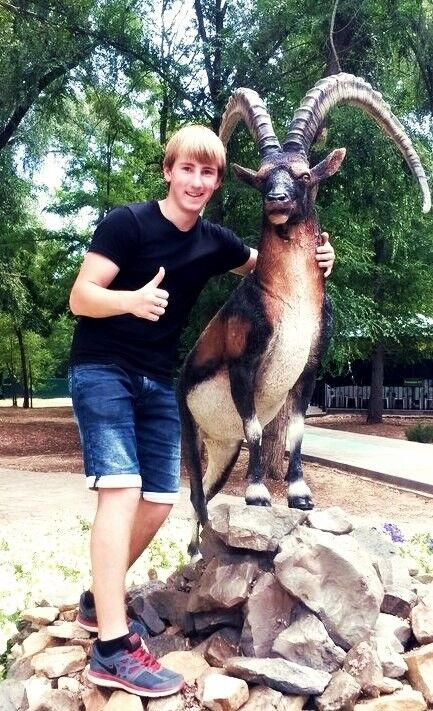 ���������� ���������, ���� ������� ������, 31 ���, ������������ ��� ������, ����� � ���������, c�������� ���������