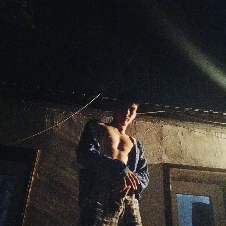  45198238  , 24 ,    