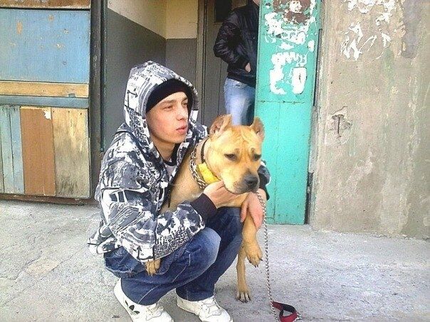 ���������� ������, ���� ������� �����, 35 ���, ������������ ��� ������, ����� � ���������, c�������� ���������