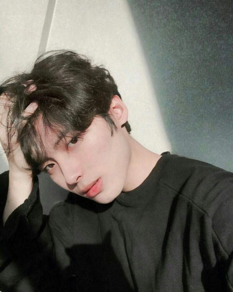 ���� 23552028 ����� ���, 23 ����, ���� ���������� � �����-����������