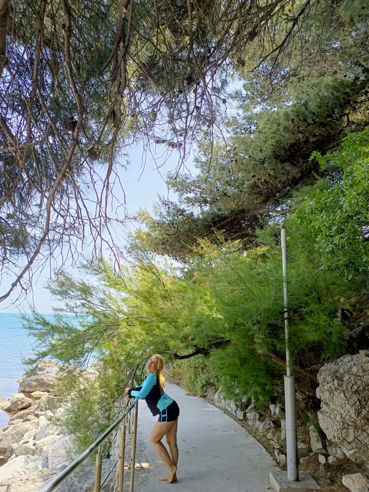 ���������� ������-��-����, ���� ������� ������, 51 ���, ������������ ��� ������, ����� � ���������, c�������� ���������, ���������