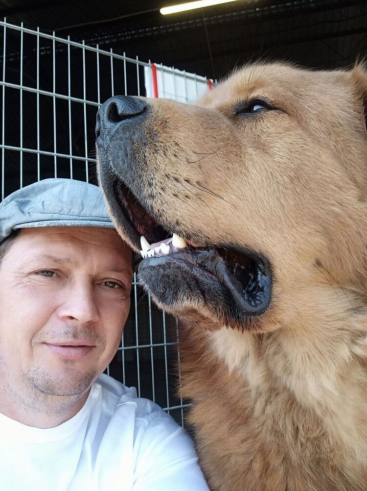  ,   , 44 ,   ,   