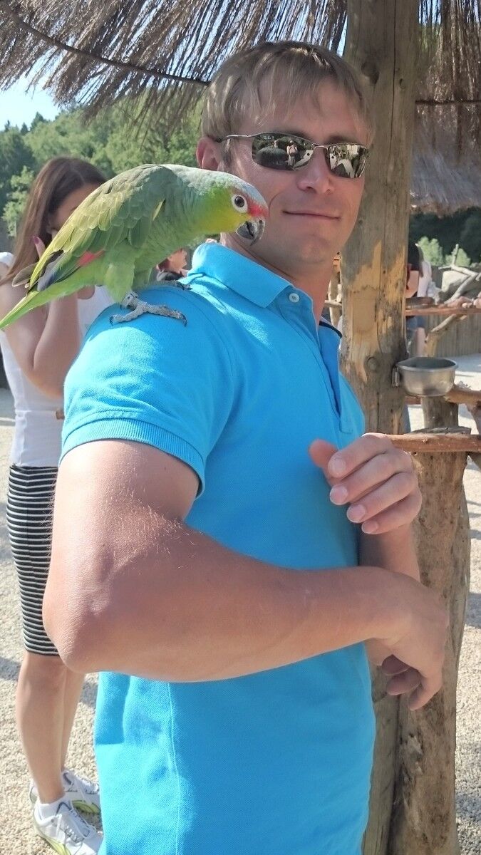  Laatzen,   , 43 ,   ,   , c 