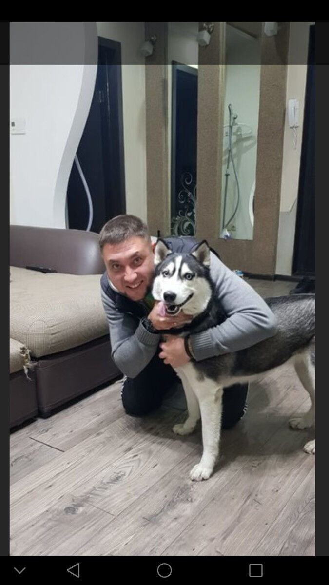 ���� 17400658 ������� ������, 43 ����, ���� ���������� � �����