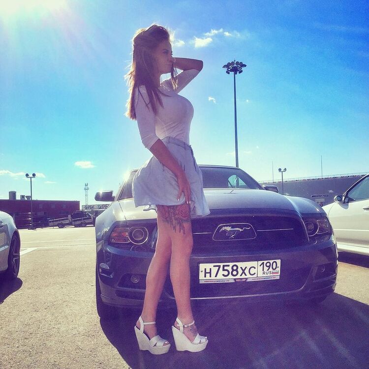 ���������� ������, ���� ������� Ani, 28 ���, ������������ ��� ������, ����� � ���������, c�������� ���������, ���������