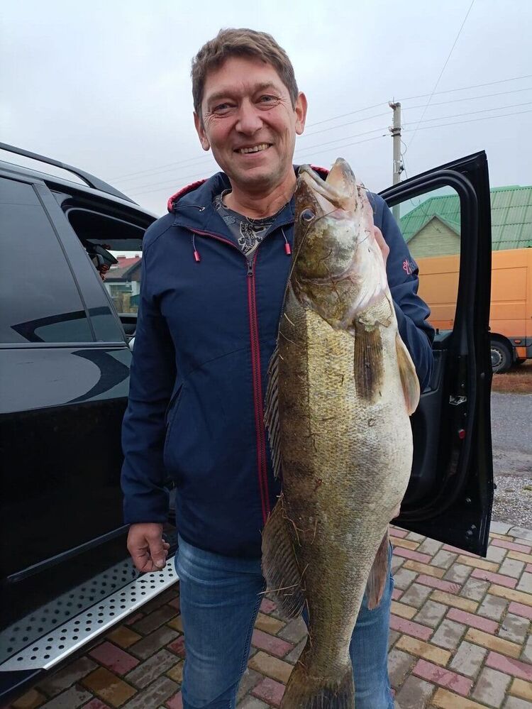 ���� 54901978 ������� ���������, 48 ���, ���� ���������� � ���������