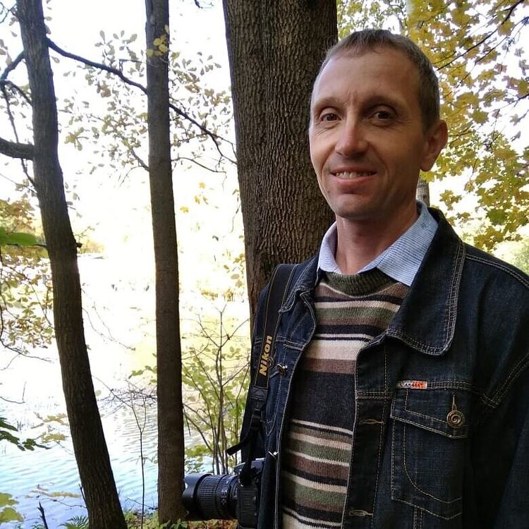 ���������� ���������, ���� ������� ������, 46 ���, ������������ ��� ������, ����� � ���������, c�������� ���������