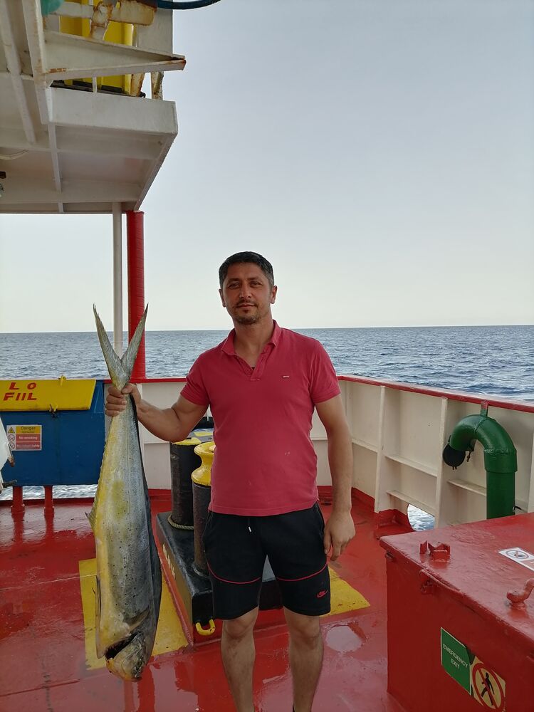  38752378  Timur, 41 ,    