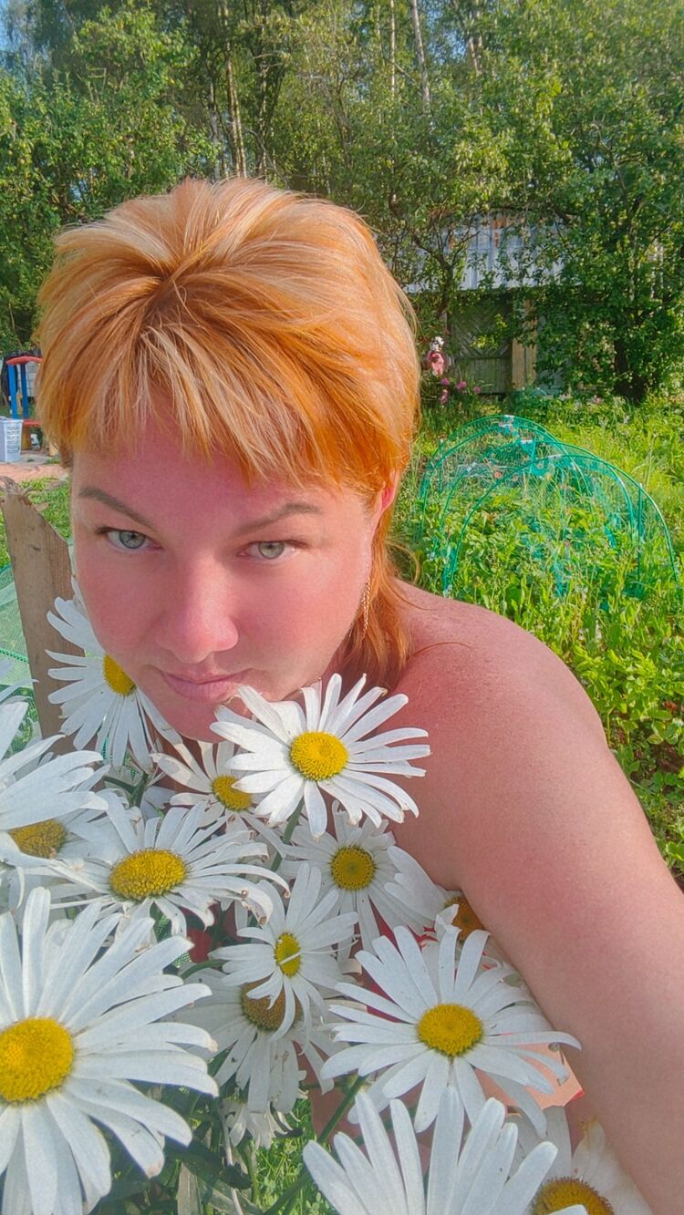  53826328  , 40 ,    -