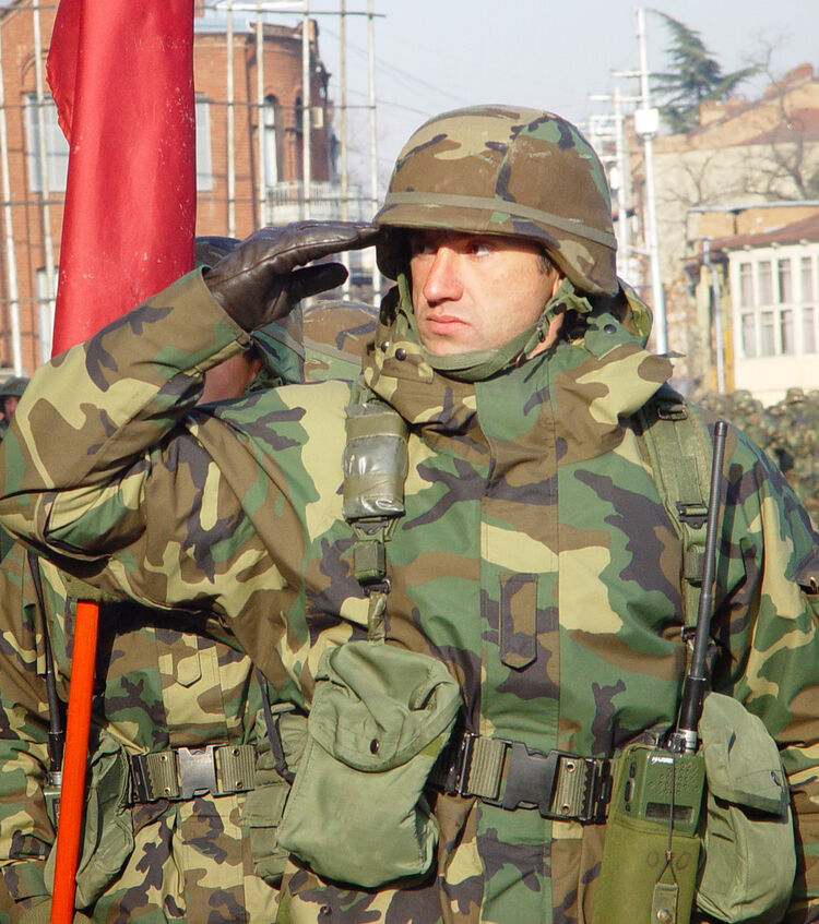 ���� 19315008 ������� Iva, 49 ���, ���� ���������� � �������