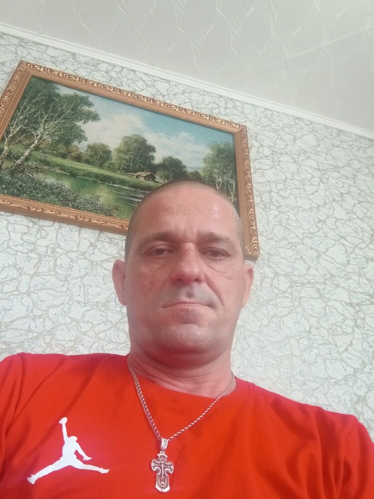  43559309  , 41 ,    