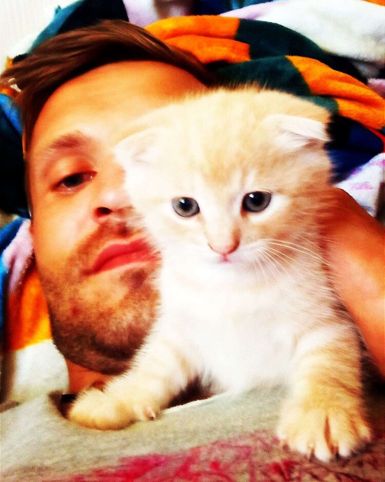 ���������� �����, ���� ������� ����, 37 ���, ������������ ��� ������, ����� � ���������