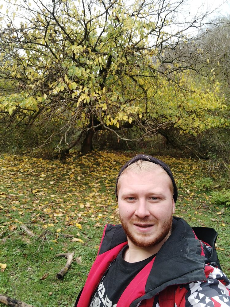 ���������� ����, ���� ������� ������, 30 ���, ������������ ��� ������, ����� � ���������, c�������� ���������, ���������