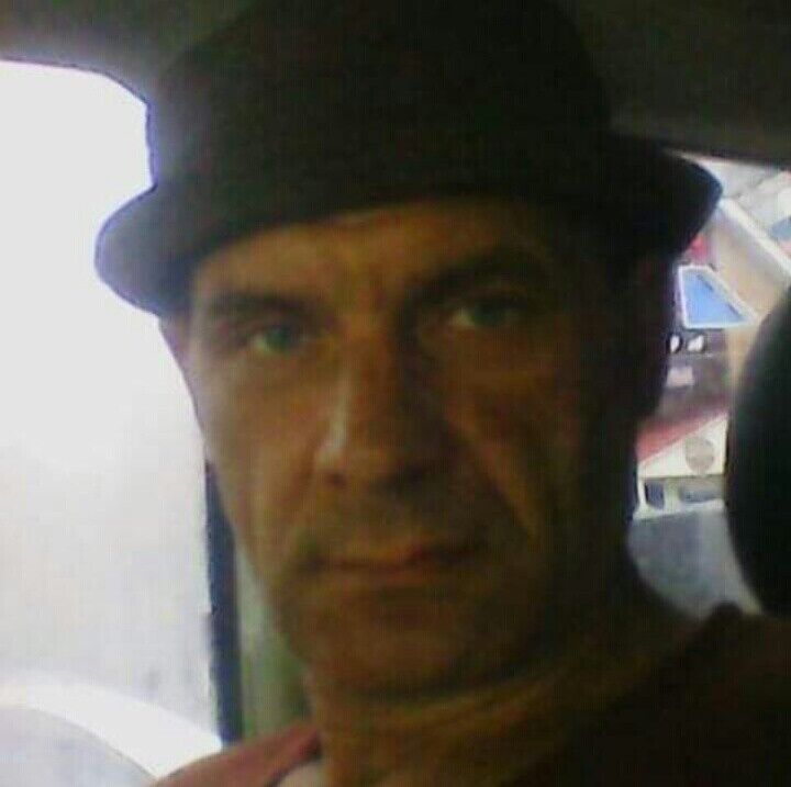  20349018  , 50 ,    