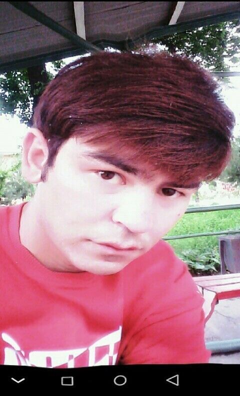  33069488  ISKANDER, 25 ,    